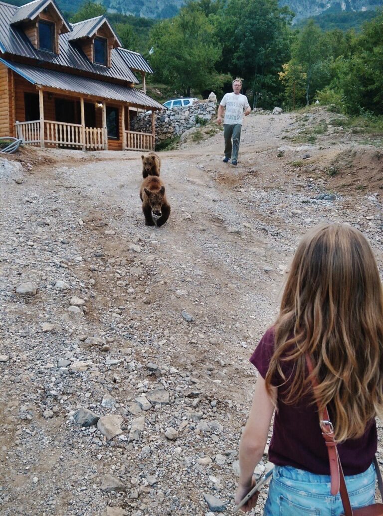 Cruelty-free Bearspotting in the Balkan