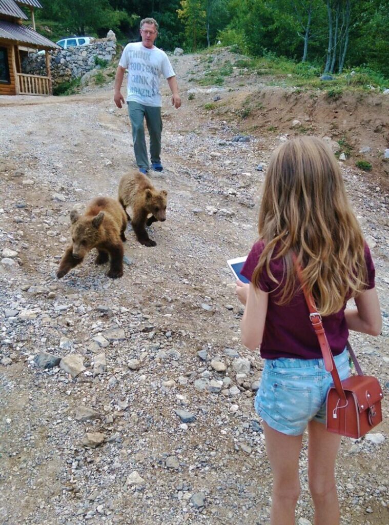Cruelty-free Bearspotting in the Balkan