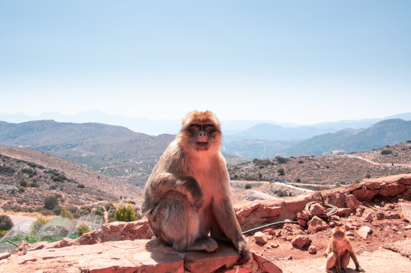 Kreta: Het natuurlijke oosten