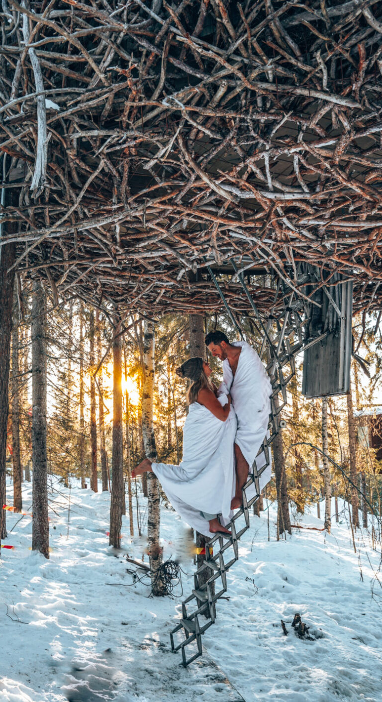 Treehotel Harrads; magie in de bomen