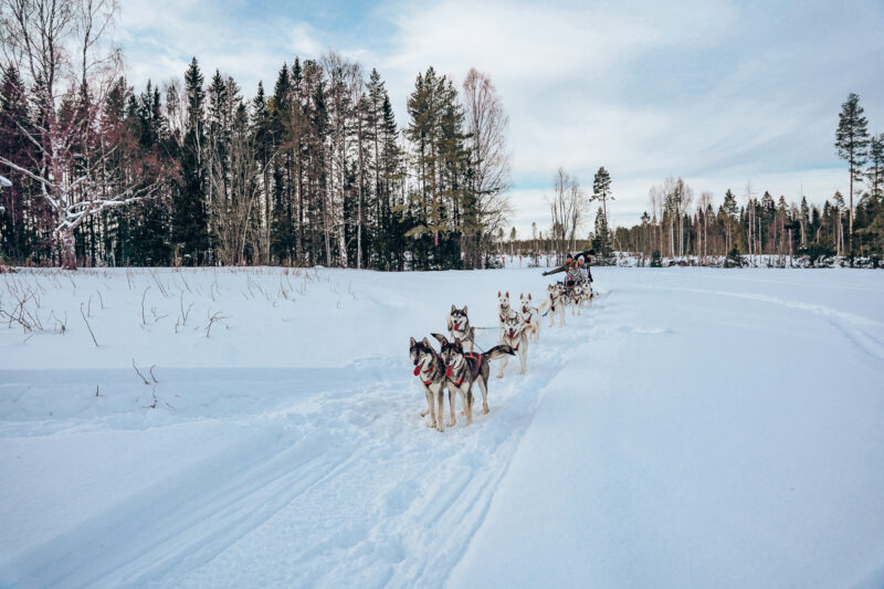 Budgetproof reizen naar Lapland