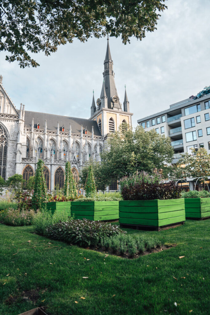 Luik: Volkse liefde in een stad vol allure